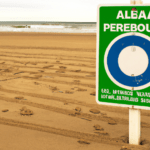 Protege el entorno y disfruta del surf en las playas de Valencia
