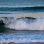 Características asombrosas de las olas en El Saler, Valencia